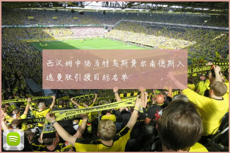 西汉姆中场马特乌斯费尔南德斯入选曼联引援目标名单