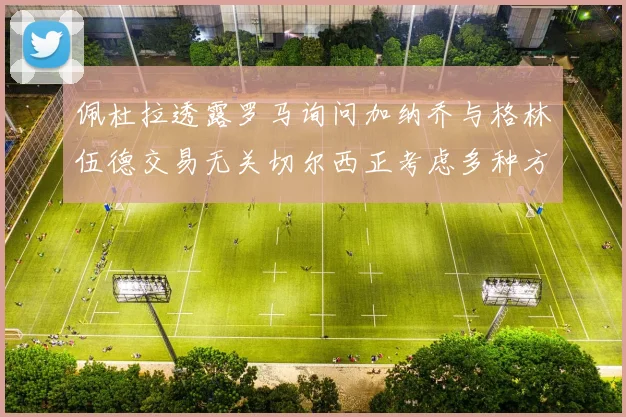 佩杜拉透露罗马询问加纳乔与格林伍德交易无关切尔西正考虑多种方案