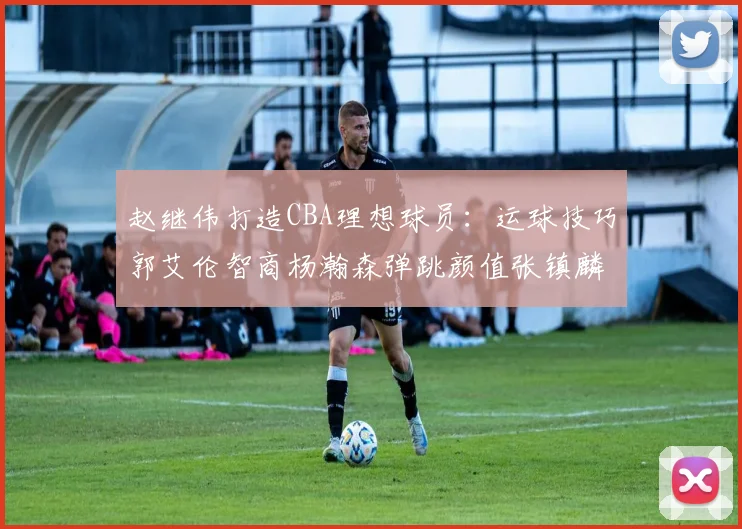 赵继伟打造CBA理想球员：运球技巧郭艾伦智商杨瀚森弹跳颜值张镇麟完美结合