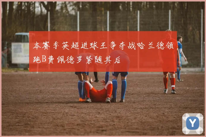 本赛季英超进球王争夺战哈兰德领跑B费佩德罗紧随其后